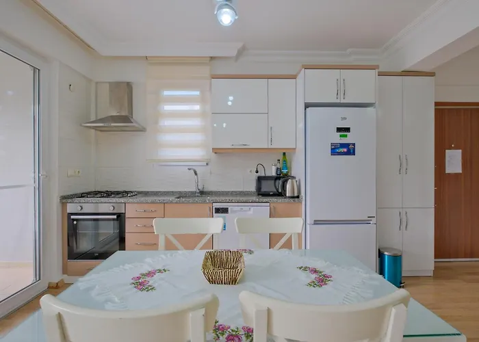 Merkezde Luex Apartament *